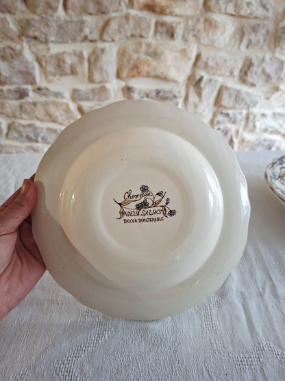 Service de 6 assiettes creuses Salins "Chevreuse"