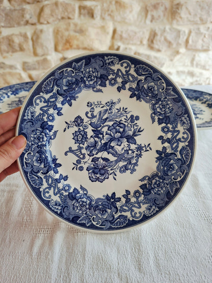 Lot de 8 assiettes à dessert