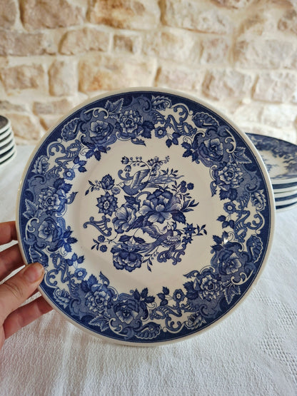 Lot de 6 assiettes à dessert