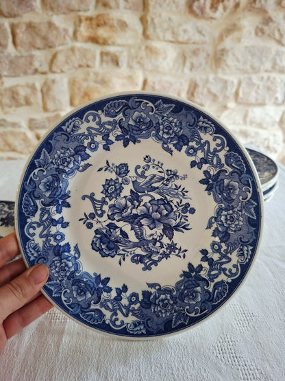 Lot de 6 assiettes à dessert