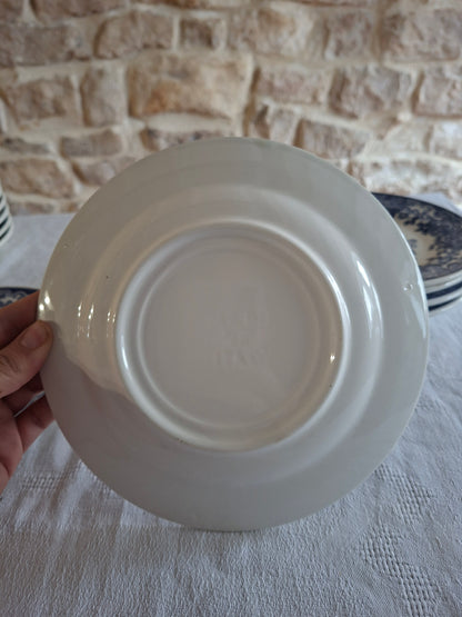 Lot de 6 assiettes à dessert