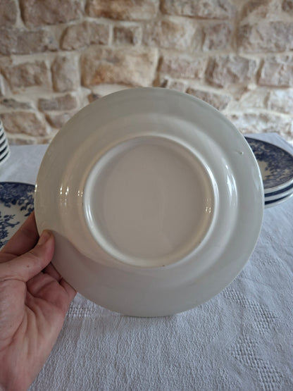 Lot de 6 assiettes à dessert