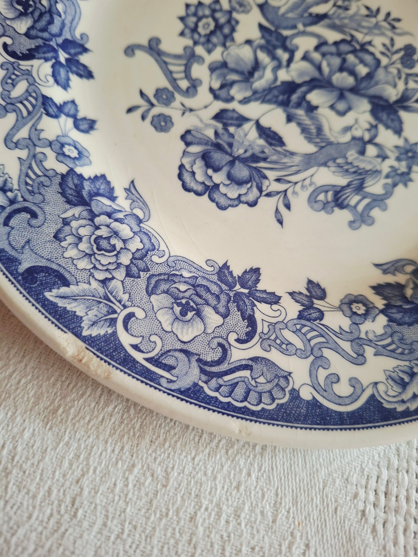 Lot de 6 assiettes à dessert
