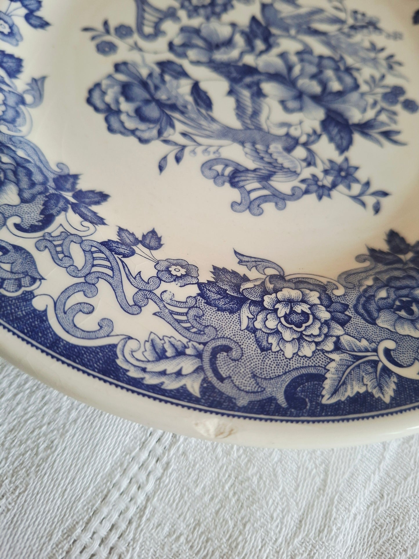 Lot de 6 assiettes à dessert