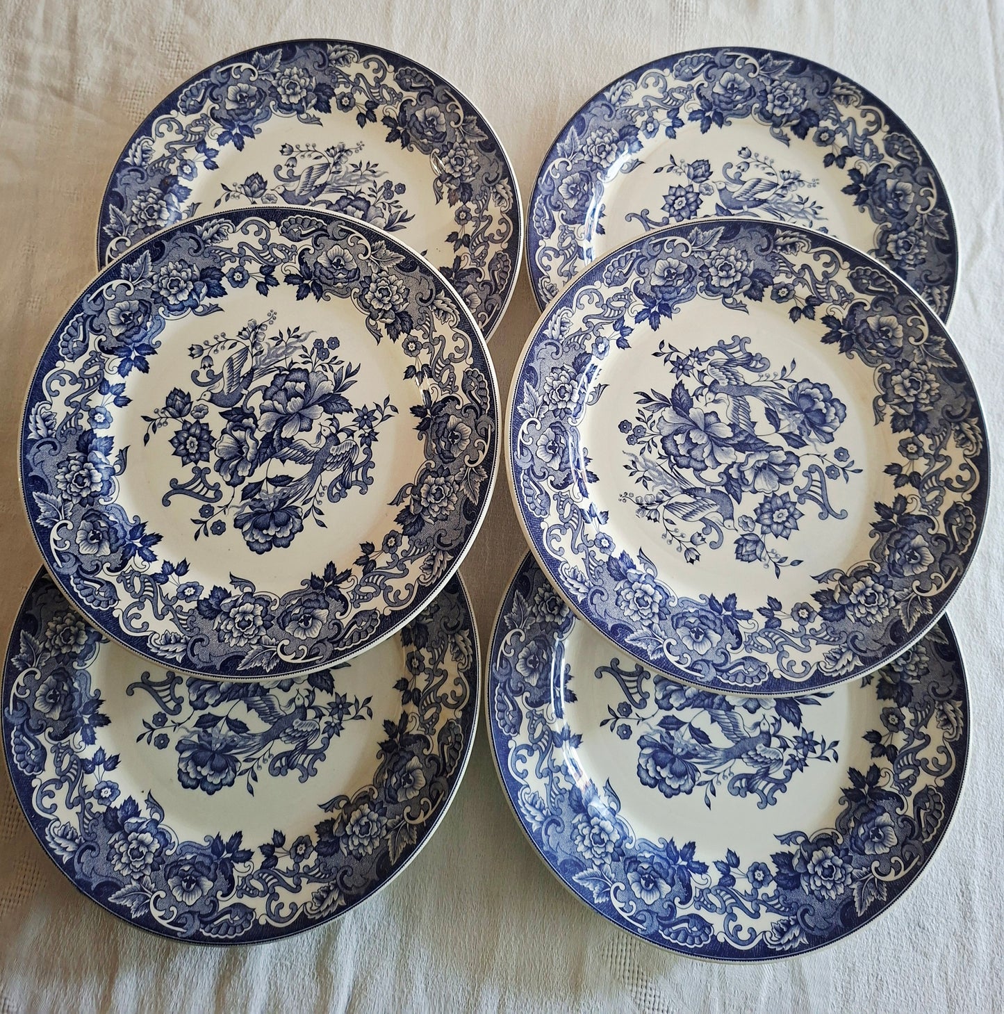 Lot de 6 assiettes plates
