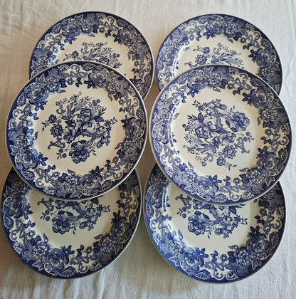 Lot de 6 assiettes plates
