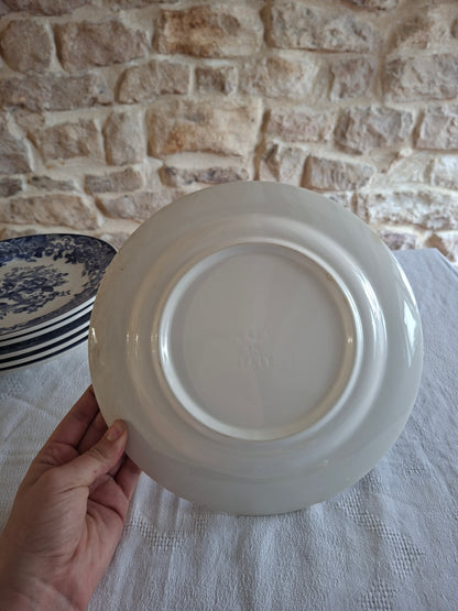 Lot de 6 assiettes plates