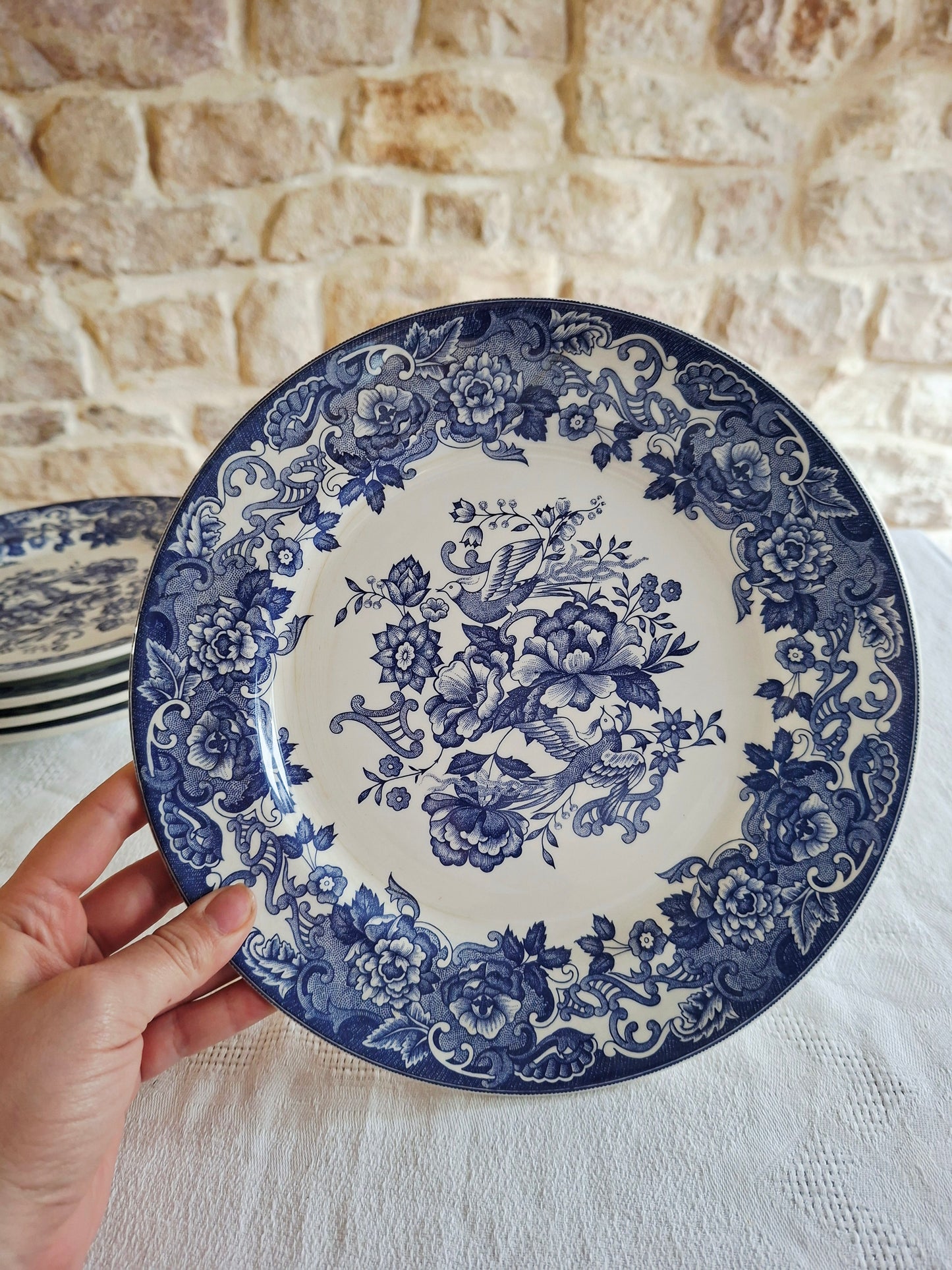 Lot de 6 assiettes plates