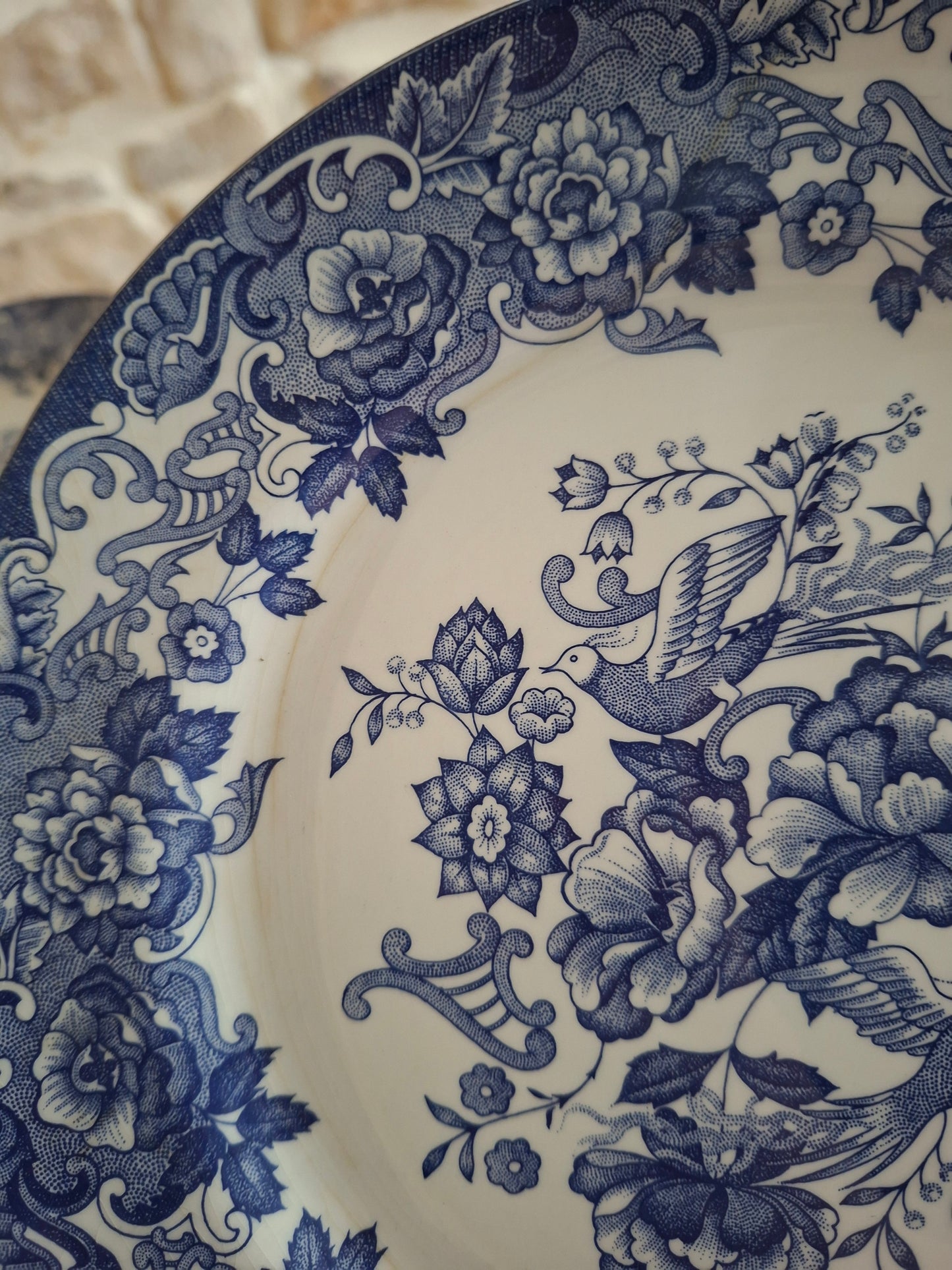 Lot de 6 assiettes plates