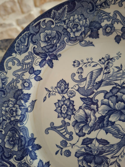 Lot de 6 assiettes plates
