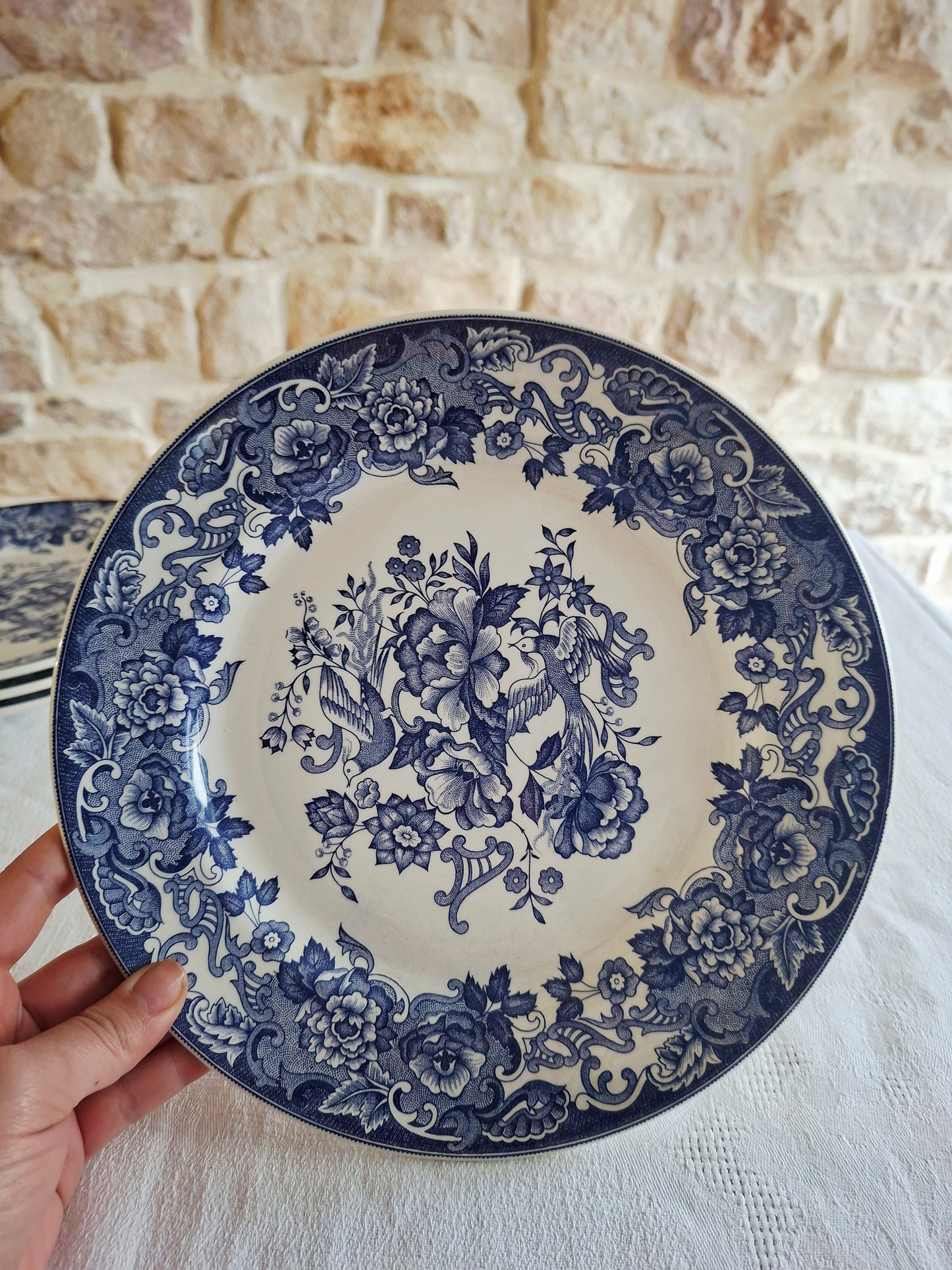 Lot de 6 assiettes plates