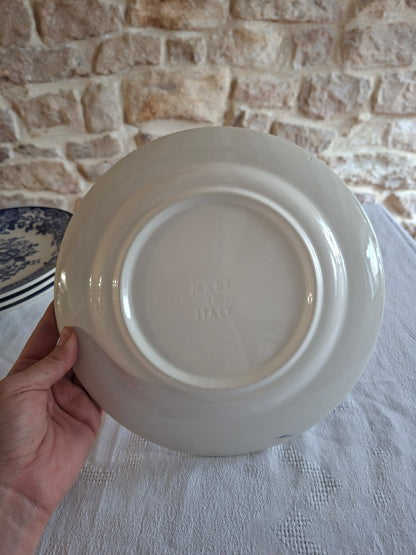 Lot de 6 assiettes plates