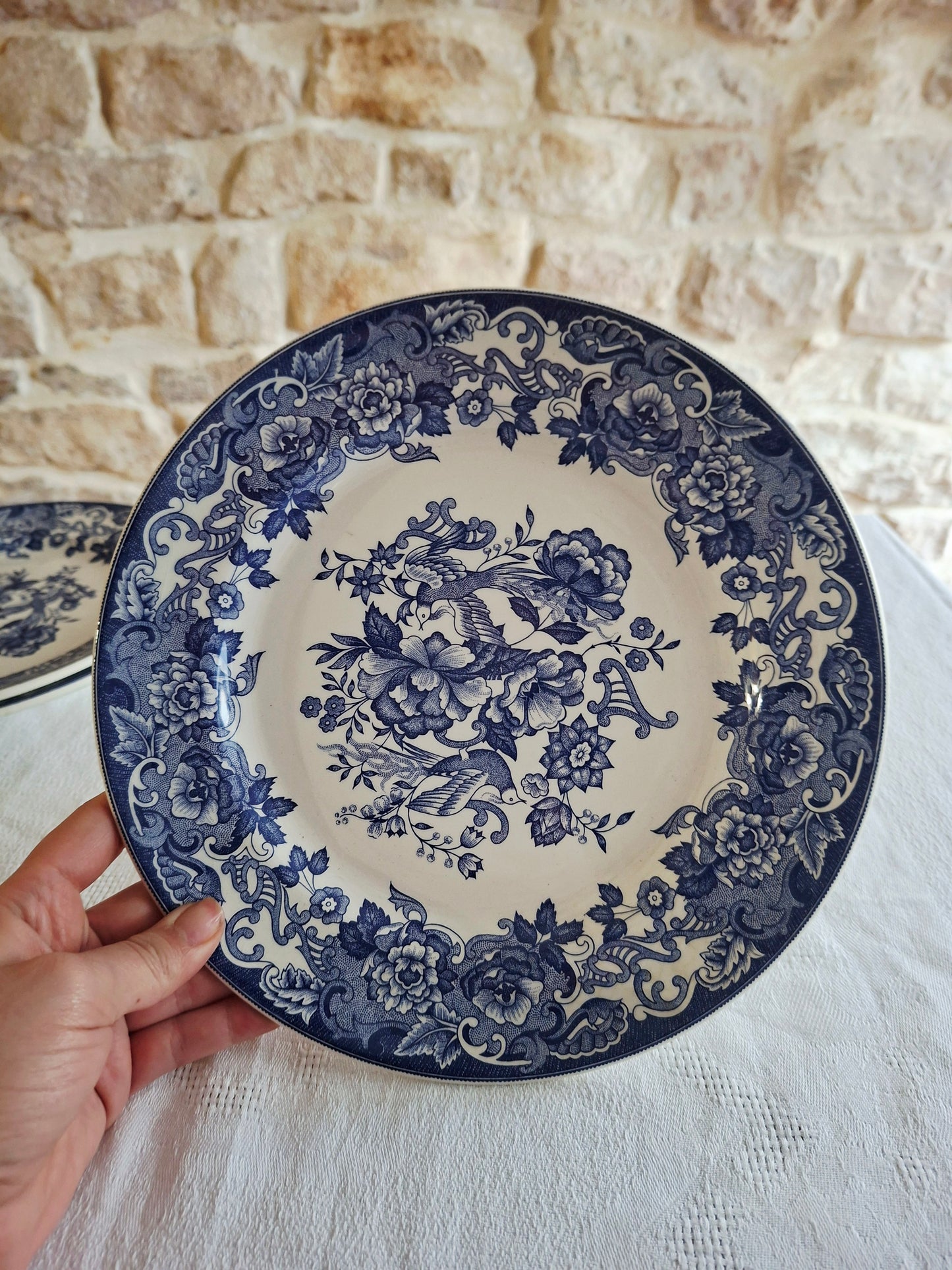 Lot de 6 assiettes plates
