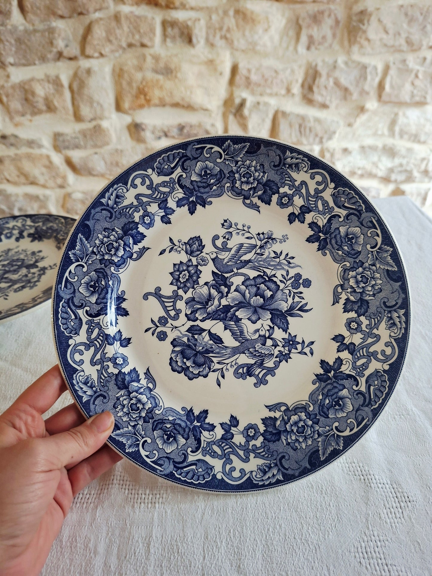 Lot de 6 assiettes plates