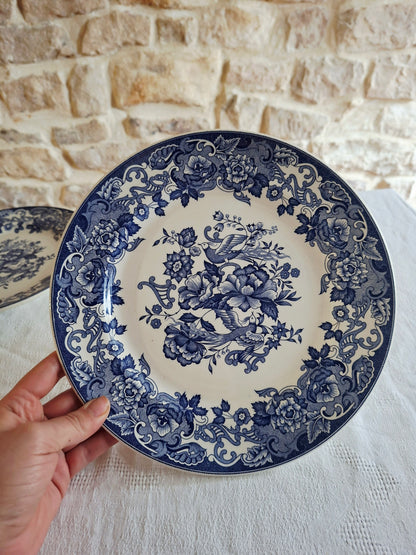 Lot de 6 assiettes plates