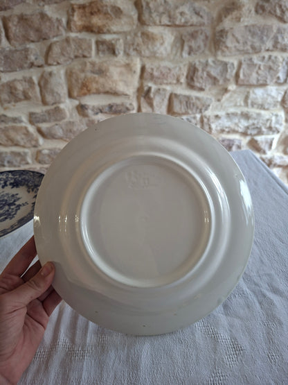 Lot de 6 assiettes plates