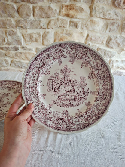 6 assiettes plates Lunéville