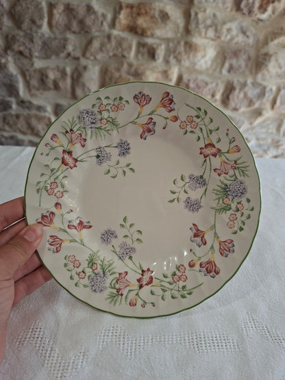 Assiettes plates Churchill