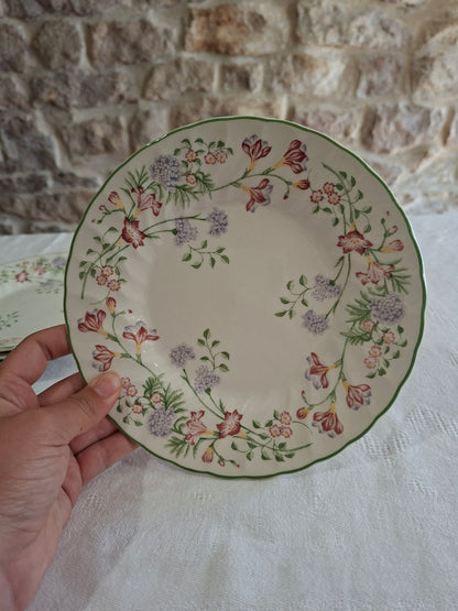 Assiettes plates Churchill