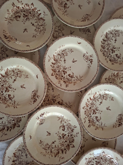 Lot de 8 assiettes plates de la Manufacture de Gien – Modèle Mai (2)