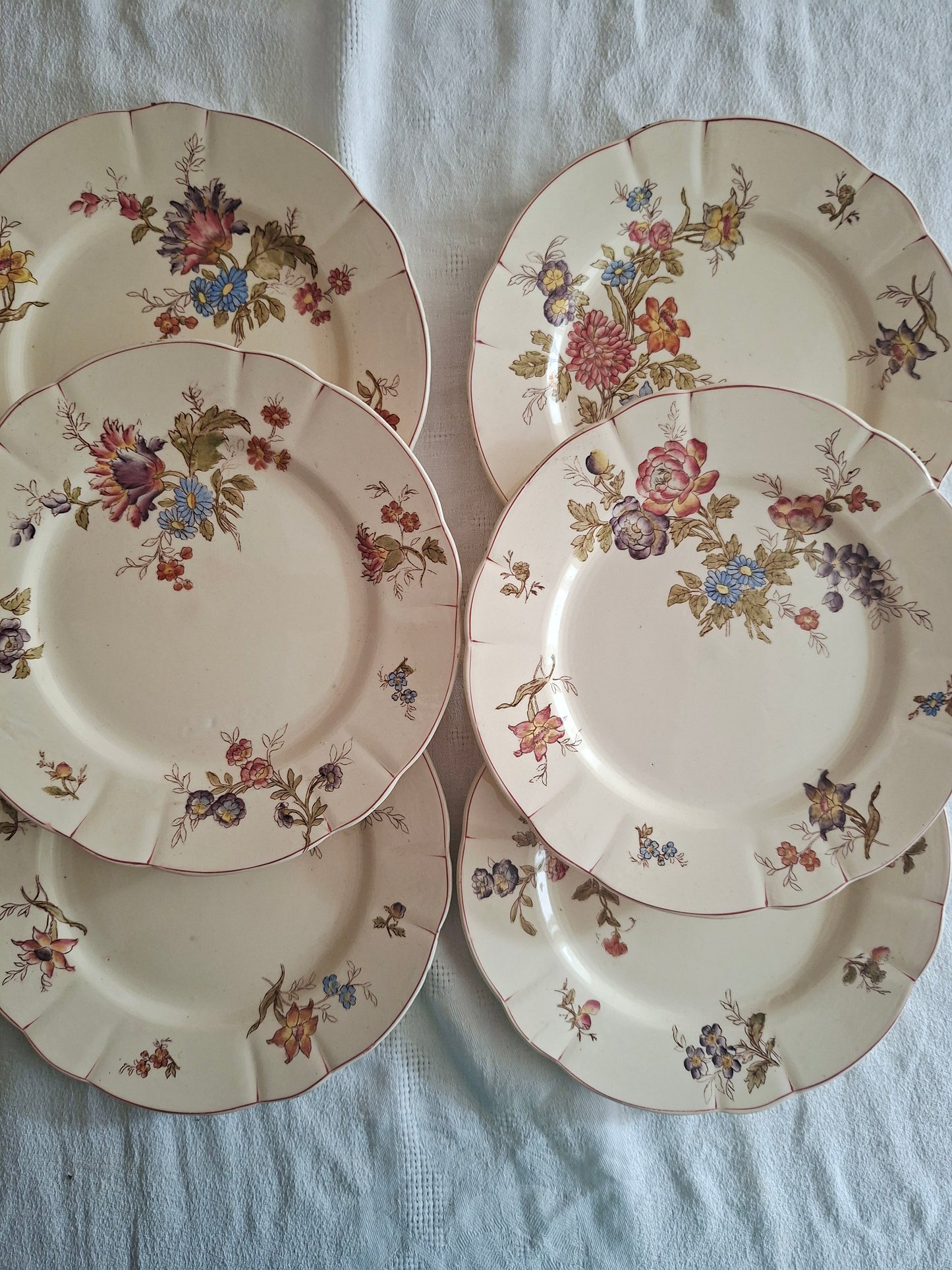 Lot de 6 assiettes à dessert Longchamp (2)
