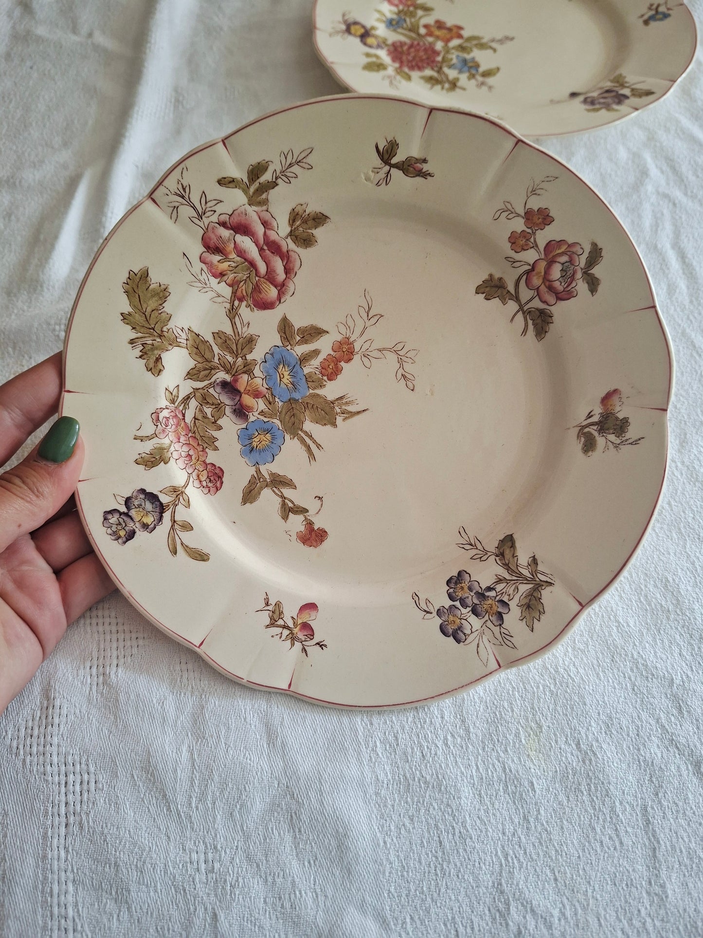 Lot de 6 assiettes à dessert Longchamp (2)