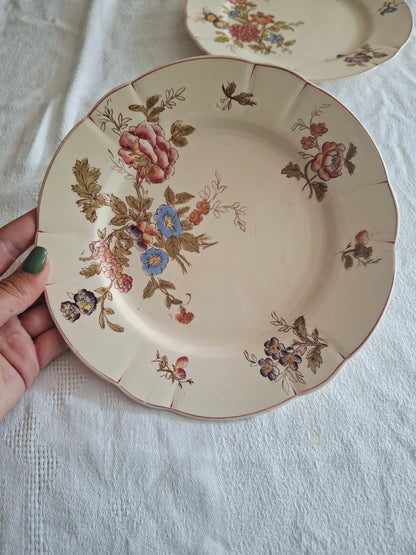 Lot de 6 assiettes à dessert Longchamp (2)