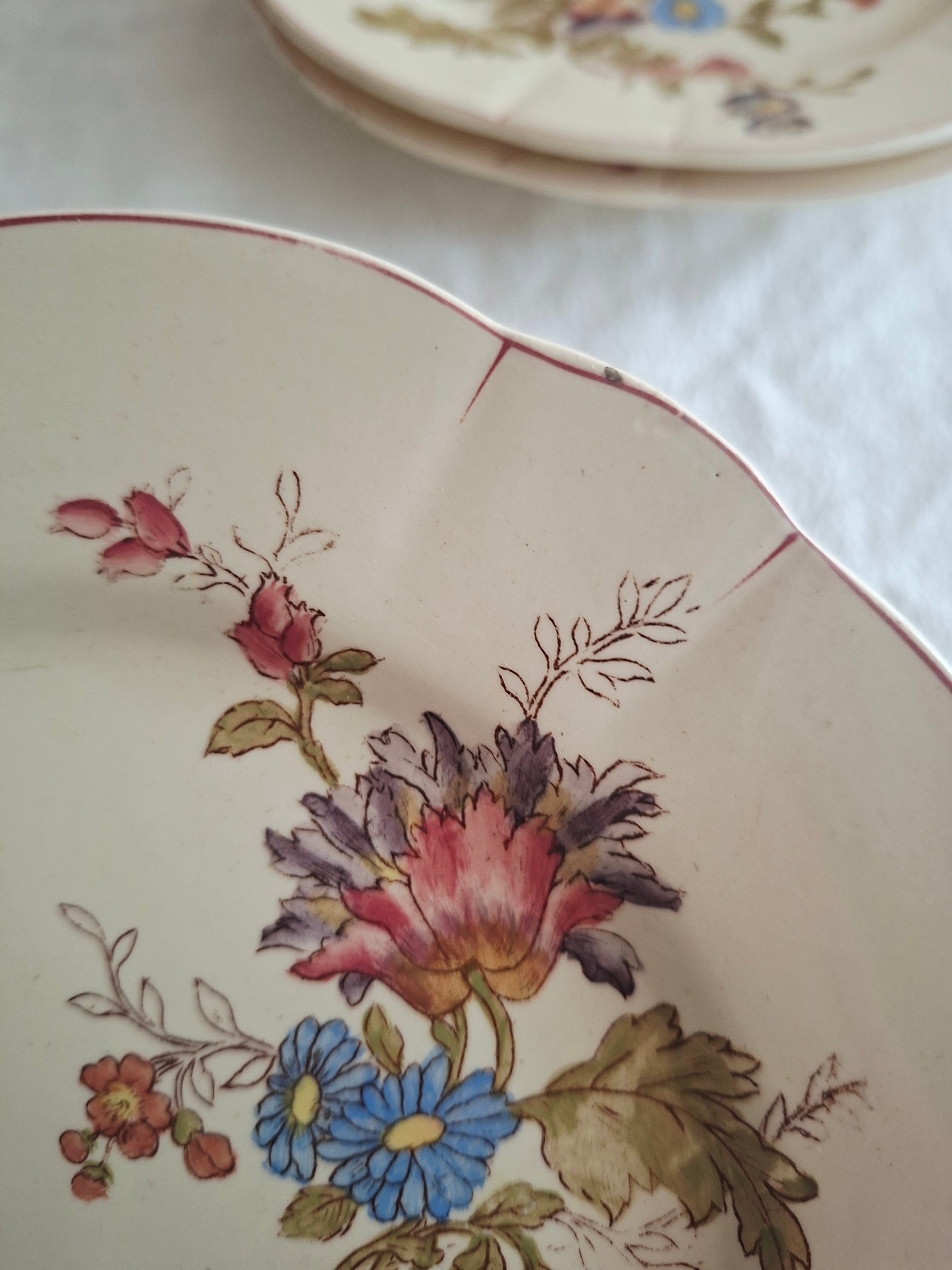 Lot de 6 assiettes à dessert Longchamp (2)