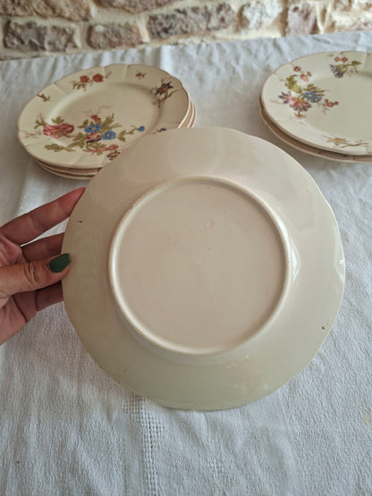 Lot de 6 assiettes à dessert Longchamp (1)