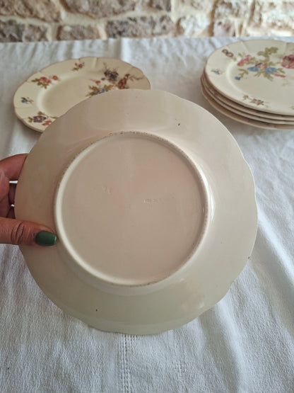 Lot de 6 assiettes à dessert Longchamp (1)
