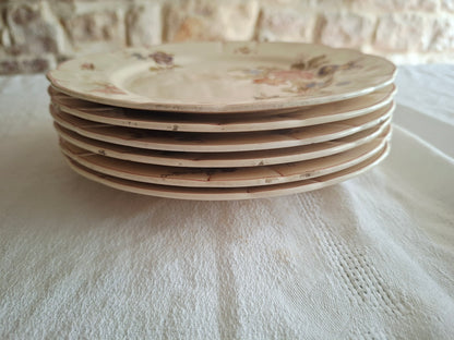 Lot de 6 assiettes à dessert Longchamp (1)