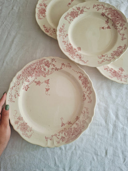 1 plat rond longchamp terre de fer (1)