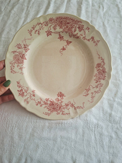 6 assiettes plates  longchamp terre de fer(1)