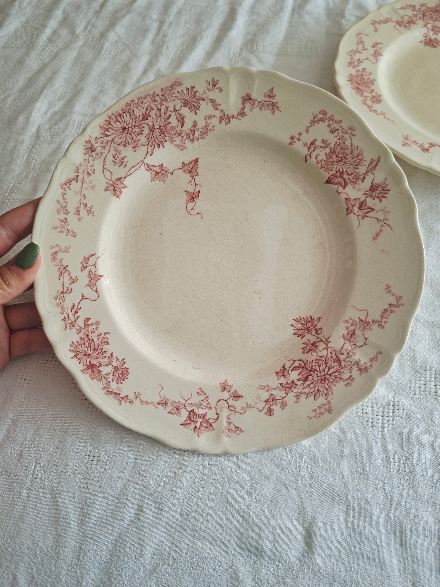 6 assiettes plates  longchamp terre de fer(1)