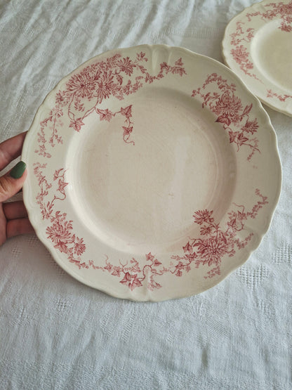 6 assiettes plates  longchamp terre de fer(1)