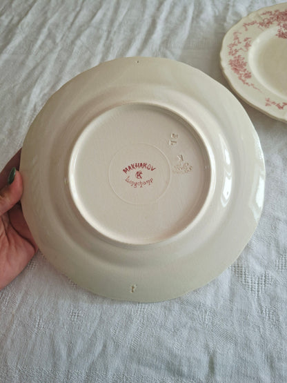6 assiettes plates  longchamp terre de fer(1)