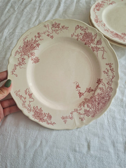 6 assiettes plates  longchamp terre de fer(1)