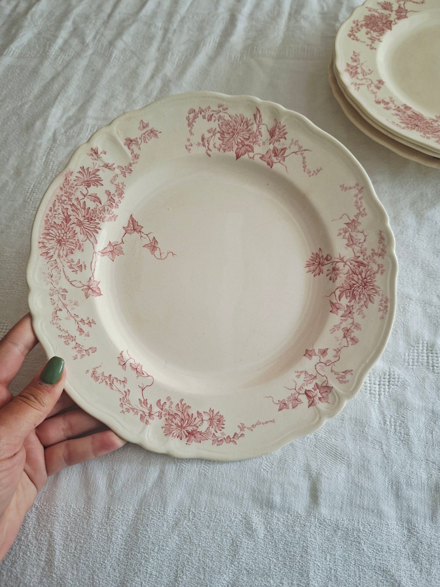 6 assiettes plates  longchamp terre de fer(1)