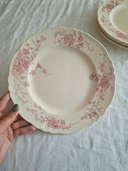 6 assiettes plates  longchamp terre de fer(1)