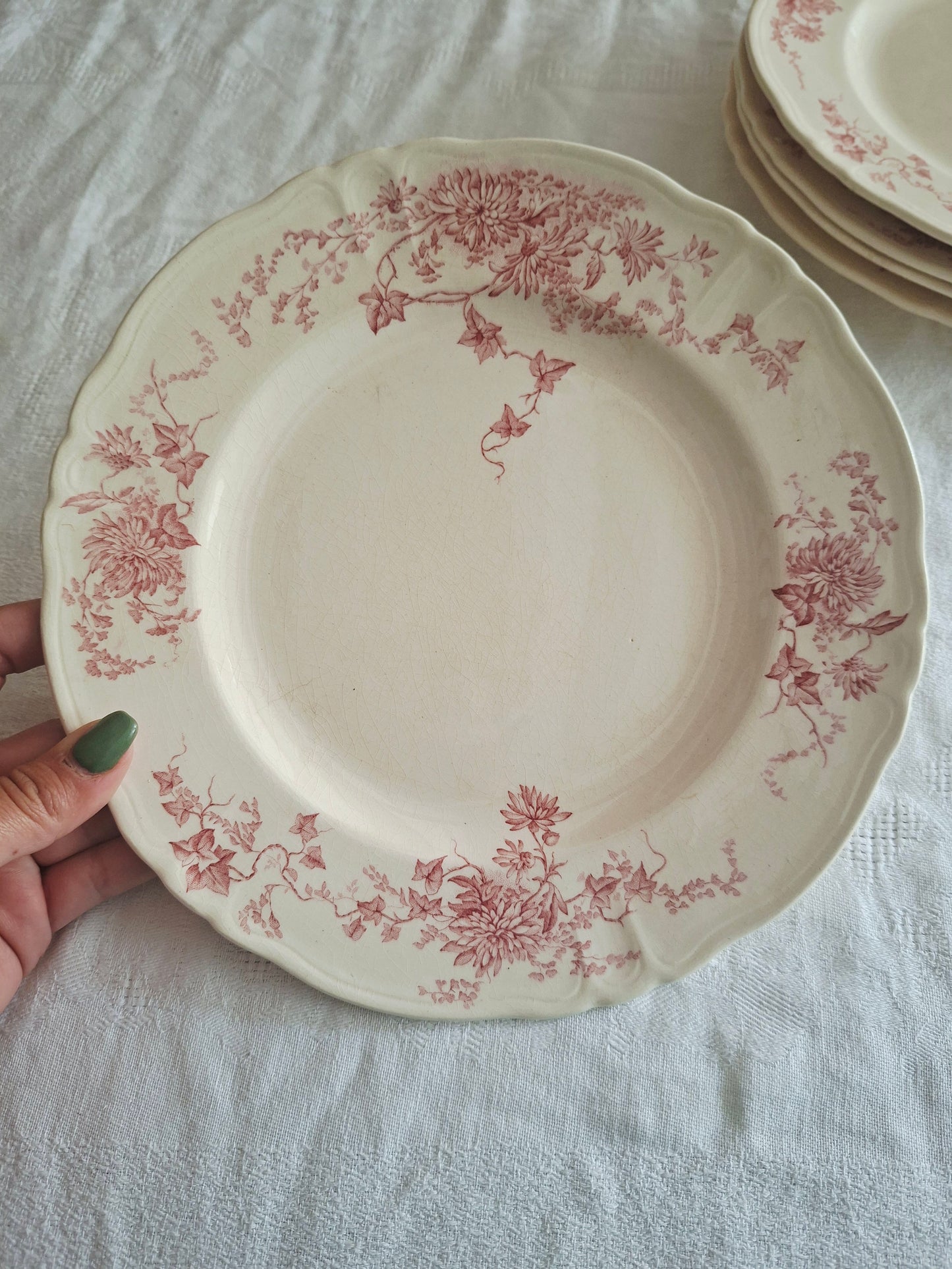 6 assiettes plates  longchamp terre de fer(1)