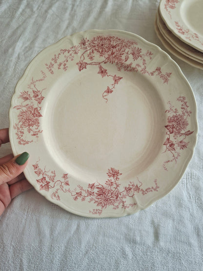 6 assiettes plates  longchamp terre de fer(1)