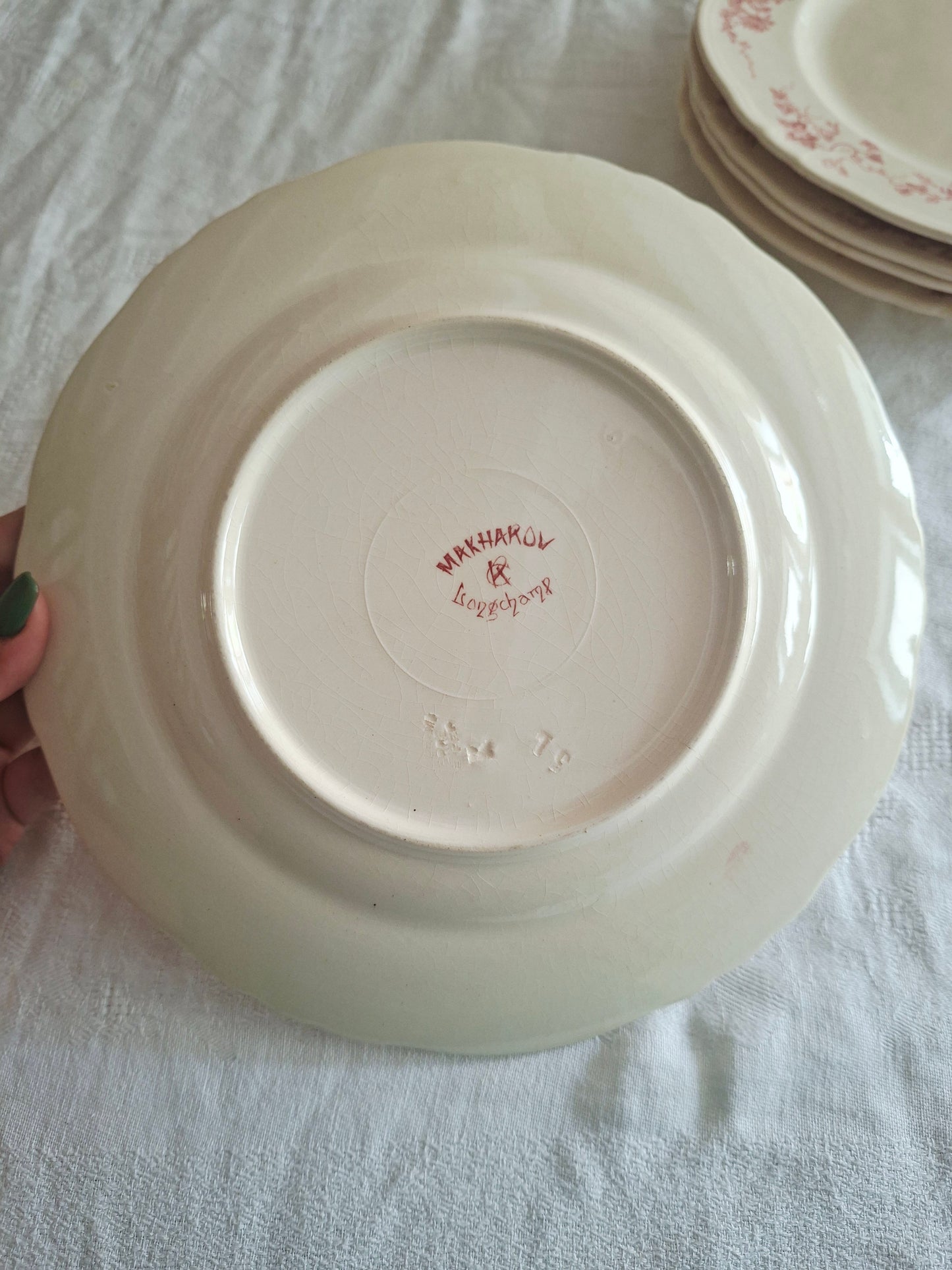 6 assiettes plates  longchamp terre de fer(1)