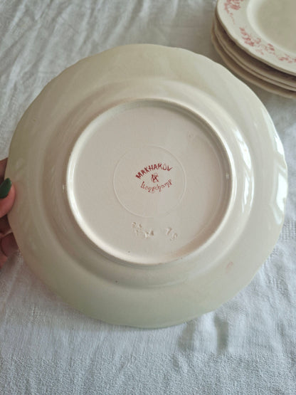 6 assiettes plates  longchamp terre de fer(1)