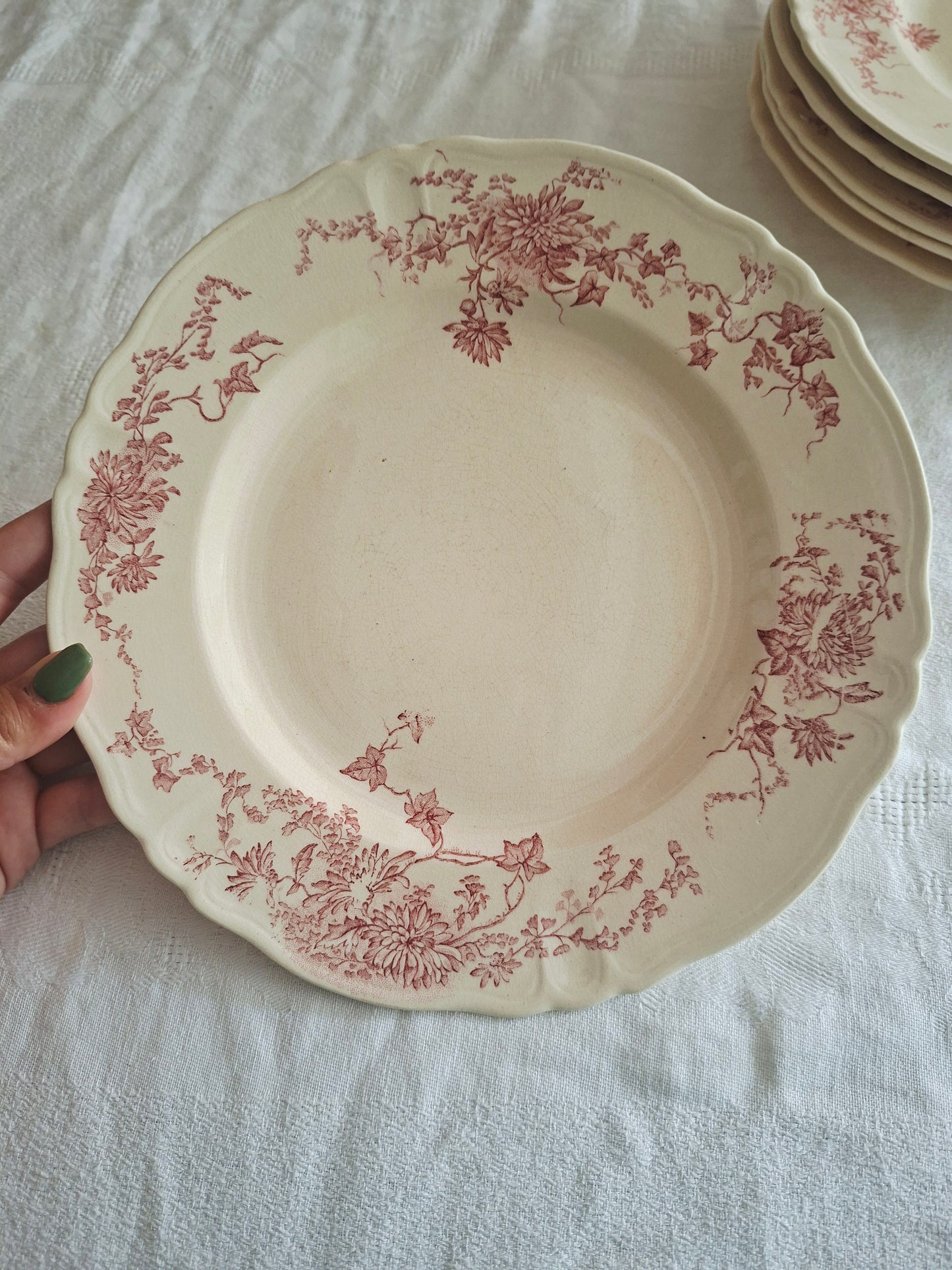 6 assiettes plates  longchamp terre de fer(1)