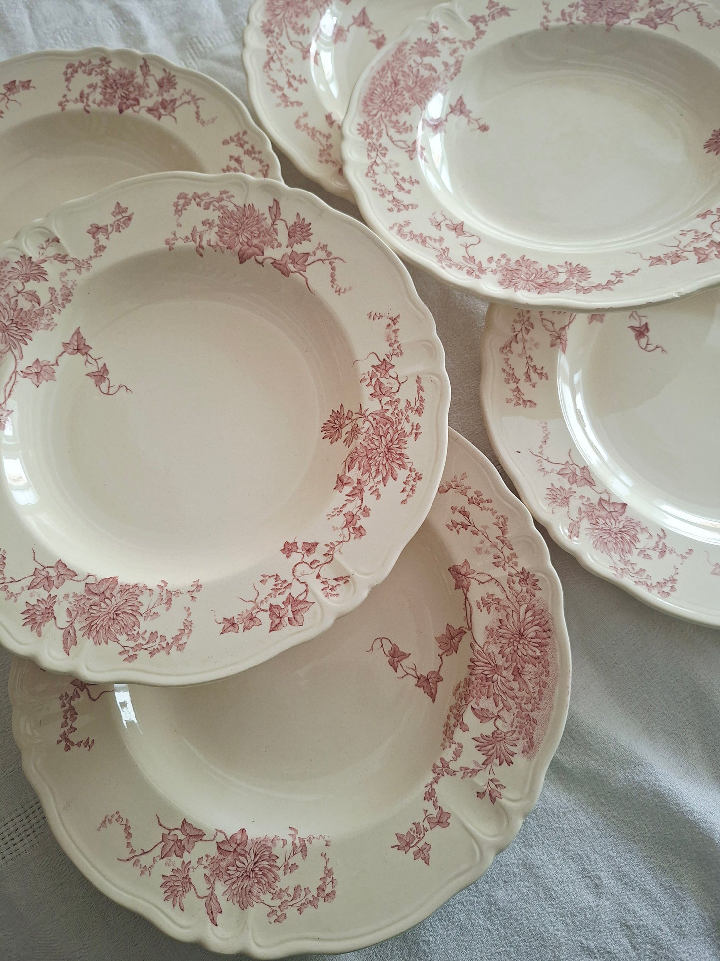 6 assiettes creuses Longchamp terre de fer