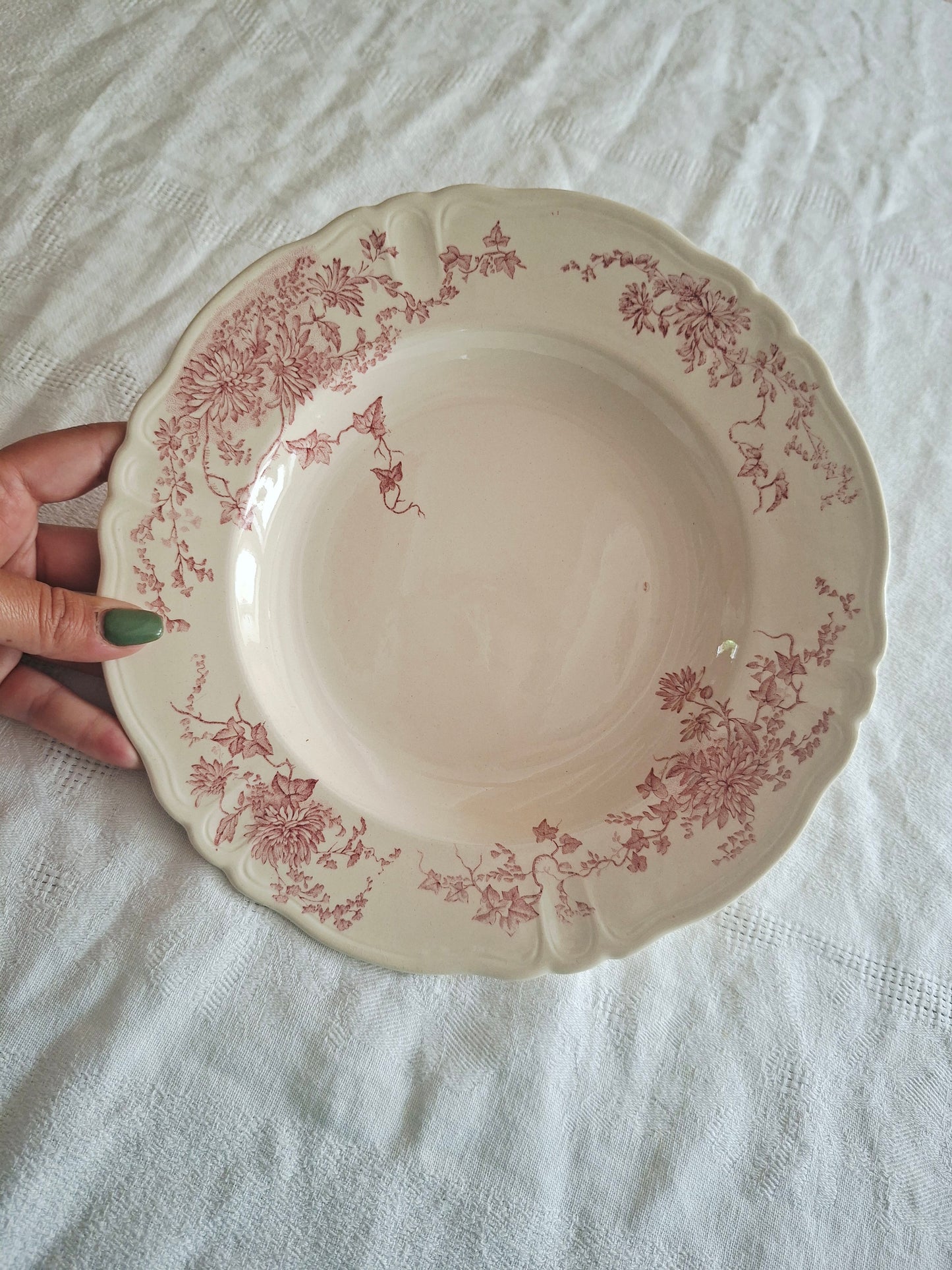 6 assiettes creuses Longchamp terre de fer