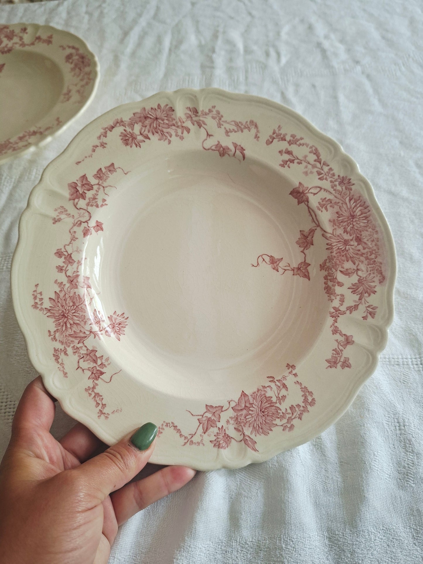 6 assiettes creuses Longchamp terre de fer