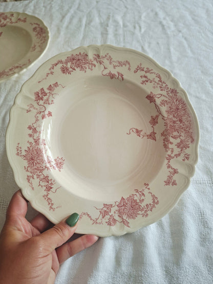 6 assiettes creuses Longchamp terre de fer