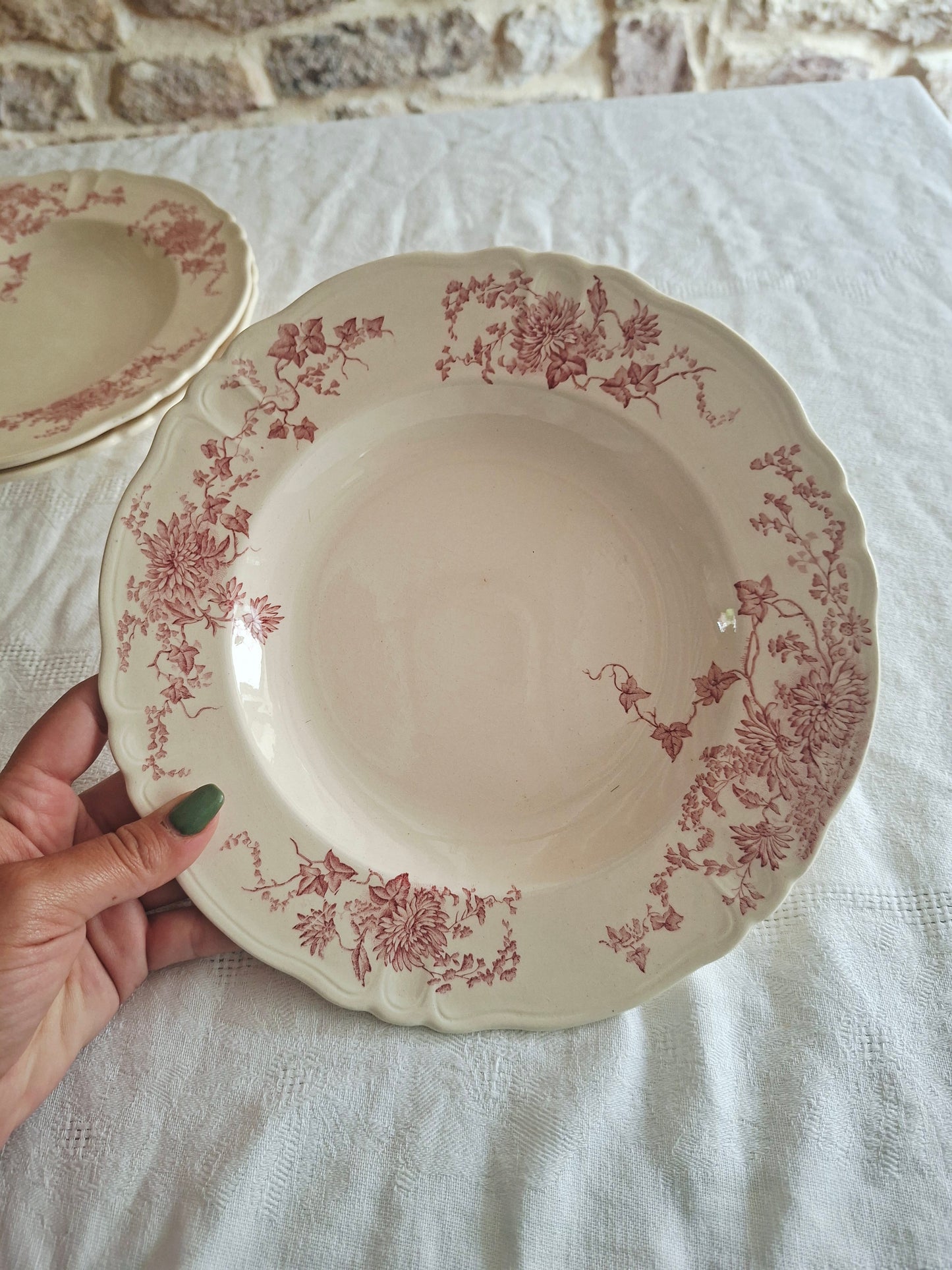 6 assiettes creuses Longchamp terre de fer