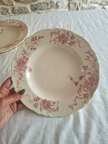 6 assiettes creuses Longchamp terre de fer